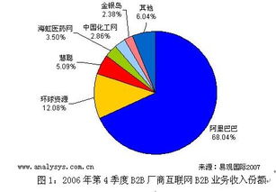 B2B電子商務(wù)模式與運(yùn)營(yíng)策略詳解