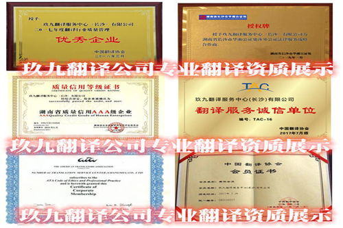 長沙專業口譯翻譯公司推薦 卓越語言服務的選擇